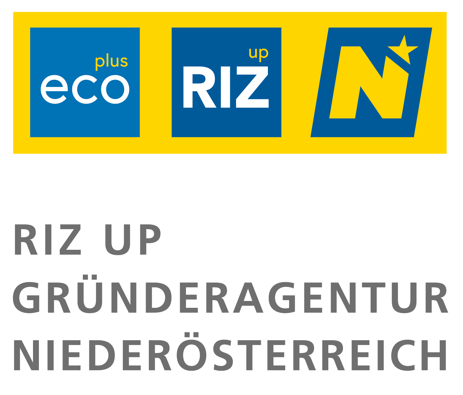 RIZ logo